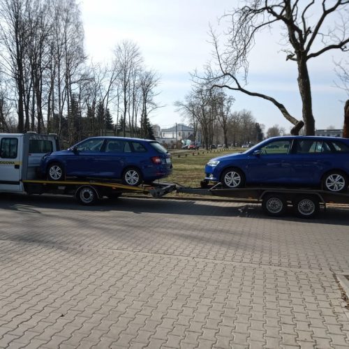 275528912_477573847345427_2597613139552305504_n